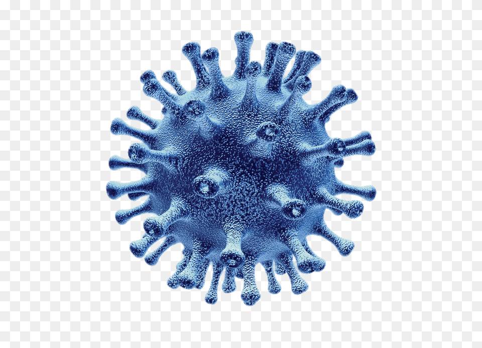 Flu Virus Cell, Accessories, Pattern, Animal, Sea Life Free Transparent Png