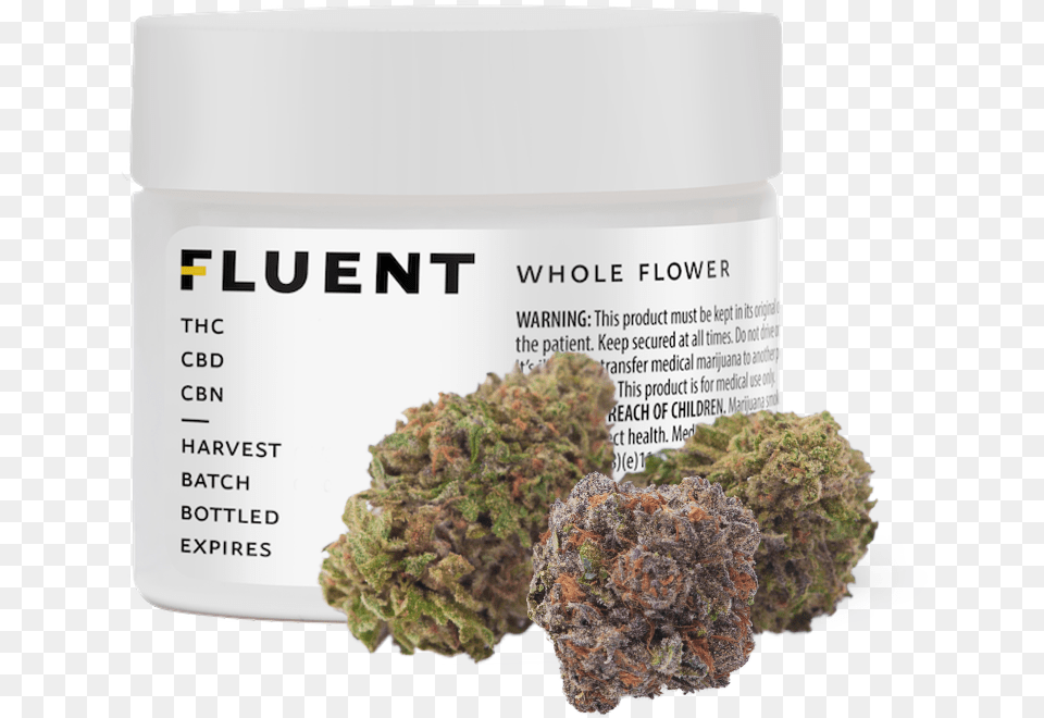 Fluent Medical Marijuanas Flower, Herbal, Herbs, Plant, Weed Free Transparent Png