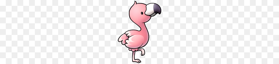 Fluffimagesf Htm Art Draw Animals, Animal, Bird, Flamingo, Beak Png