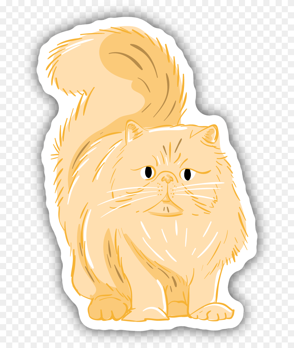 Fluffy Orange Cat Sticker British Longhair, Baby, Person, Angora, Animal Png