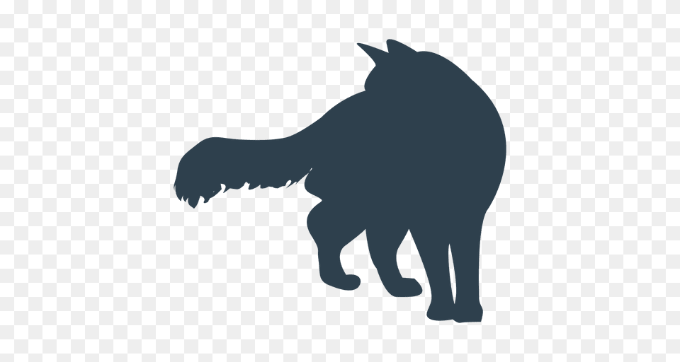 Fluffy Tail Cat Silhouette, Animal, Lion, Mammal, Wildlife Png Image