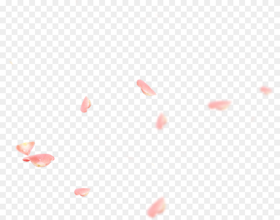 Fluid, Flower, Petal, Plant, Art Png Image