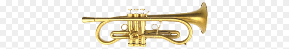 Flumpet, Brass Section, Flugelhorn, Musical Instrument, Horn Png Image