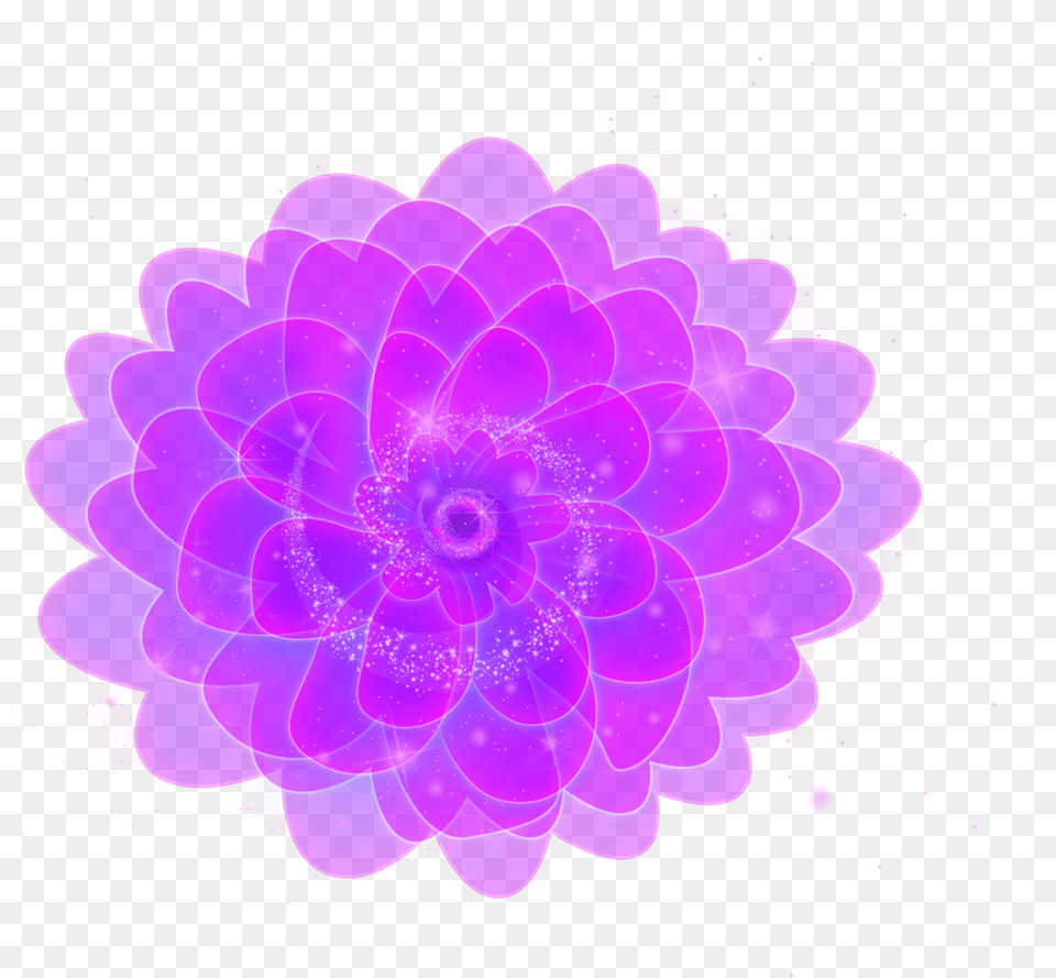 Fluorescence, Accessories, Plant, Pattern, Purple Free Png