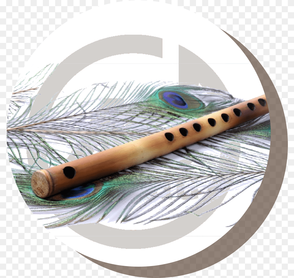 Flute, Musical Instrument Free Transparent Png