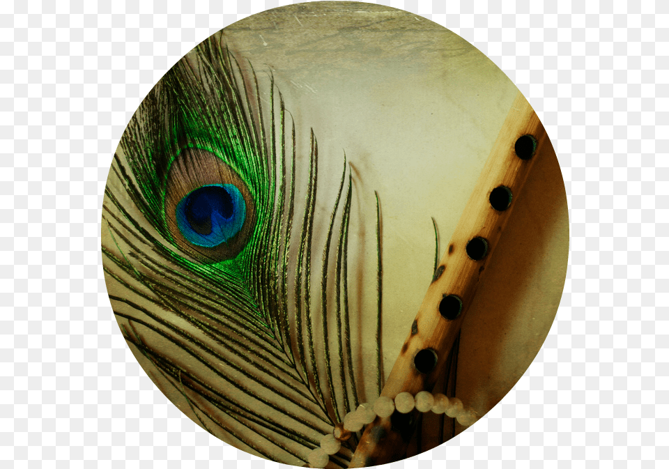 Flute With Peacock Feather, Musical Instrument, Person, Animal Free Png Download
