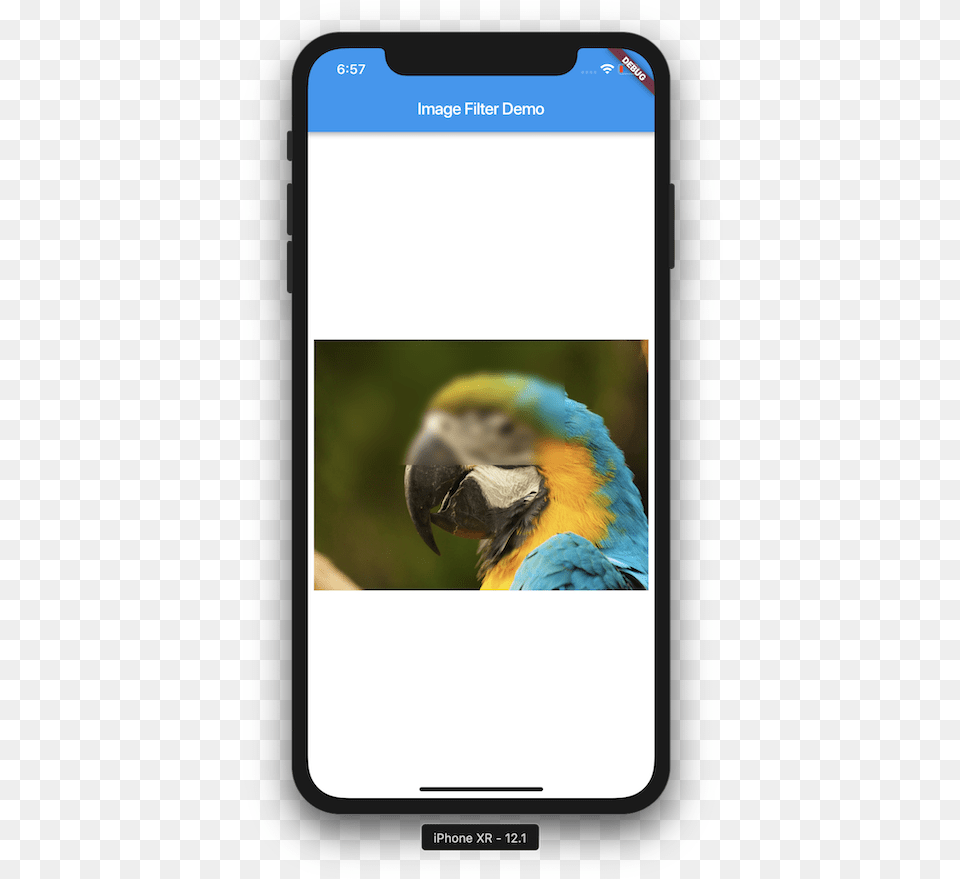 Flutter Filter Flutter Facebook Login, Animal, Beak, Bird, Parrot Png Image