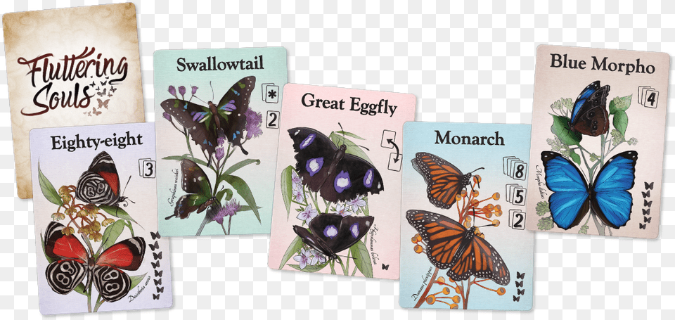 Fluttering Souls Butterflies Fluttering Souls, Animal, Butterfly, Insect, Invertebrate Free Transparent Png