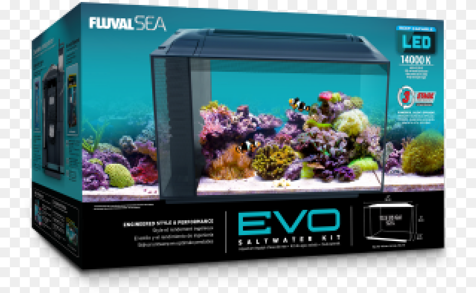 Fluval Evo Aquarium, Animal, Sea Life, Water, Fish Png Image