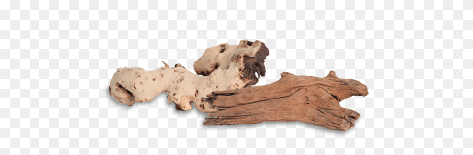 Fluval Faqs Driftwood Driftwood, Wood, Animal, Canine, Dog Png