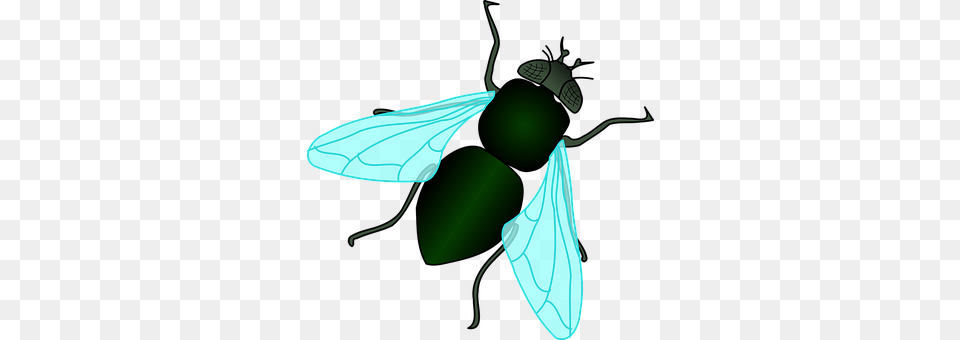 Fly Animal, Invertebrate, Insect, Electrical Device Free Png