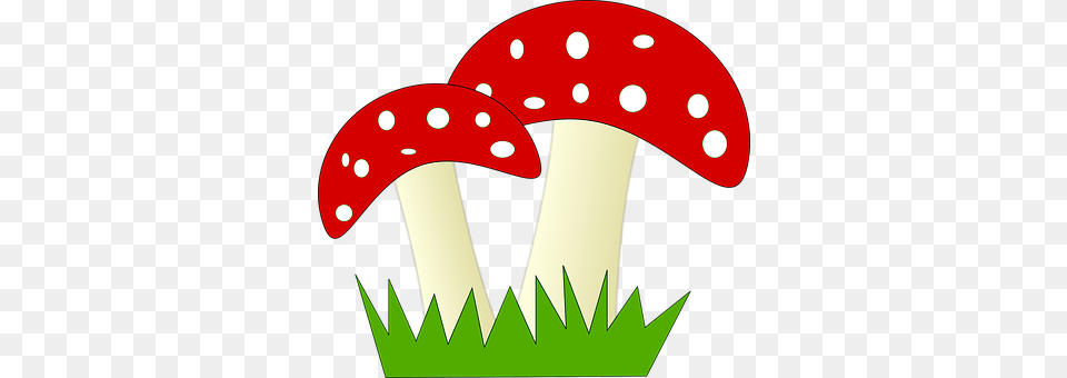 Fly Fungus, Mushroom, Plant, Agaric Png Image