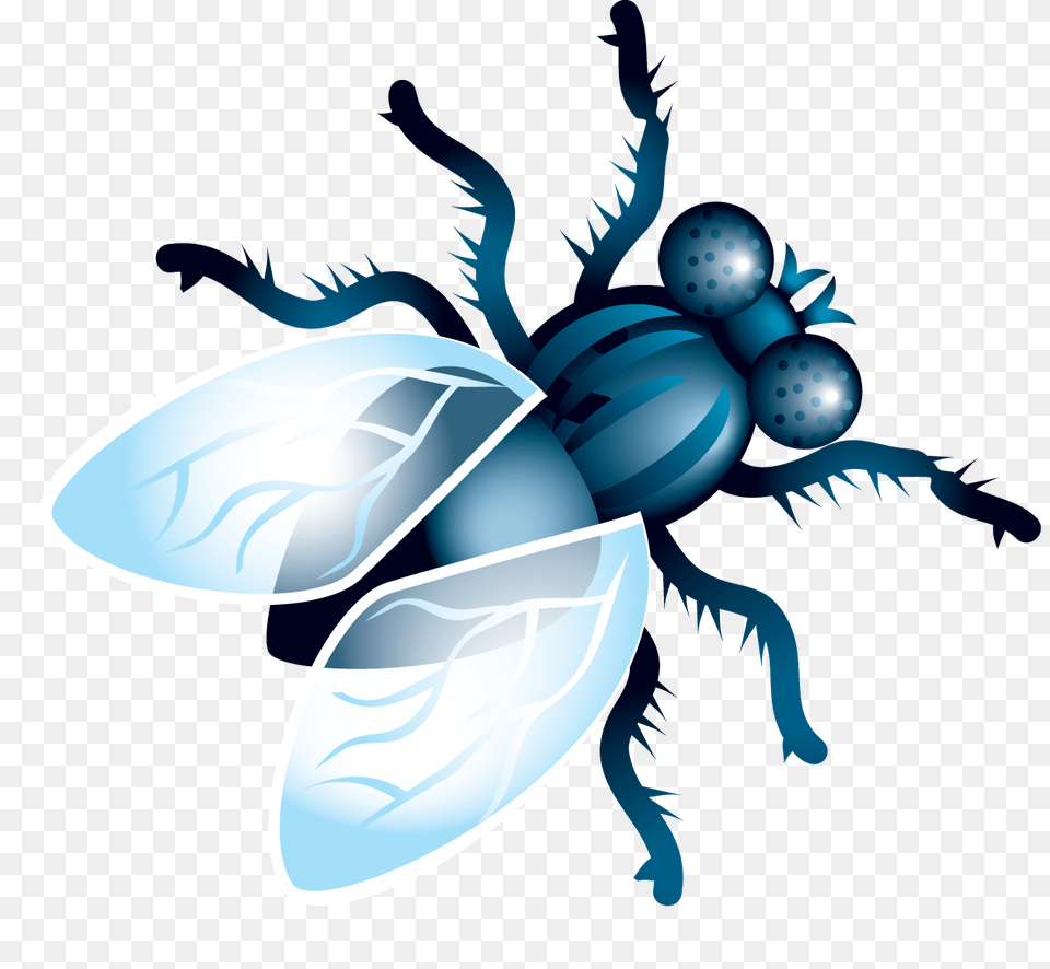 Fly, Animal, Bee, Insect, Invertebrate Free Png