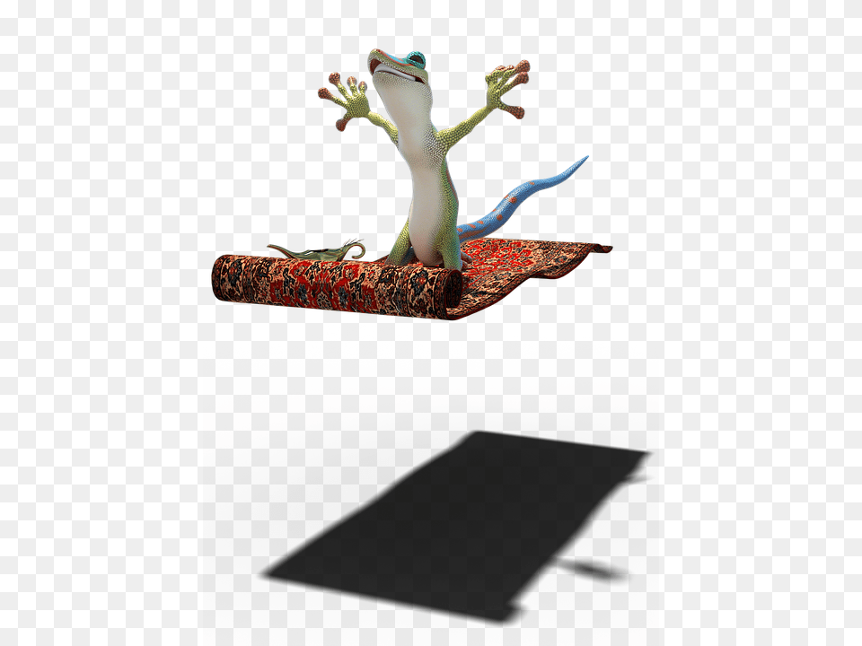 Fly Animal, Gecko, Lizard, Reptile Free Transparent Png