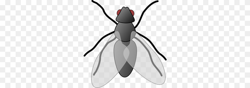 Fly Animal, Insect, Invertebrate, Smoke Pipe Png