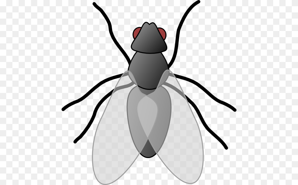 Fly Bug Insect Clip Art, Animal, Invertebrate, Kangaroo, Mammal Free Png