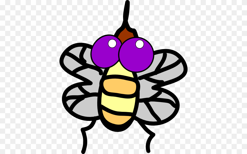 Fly Clip Art, Animal, Bee, Wasp, Invertebrate Free Png Download
