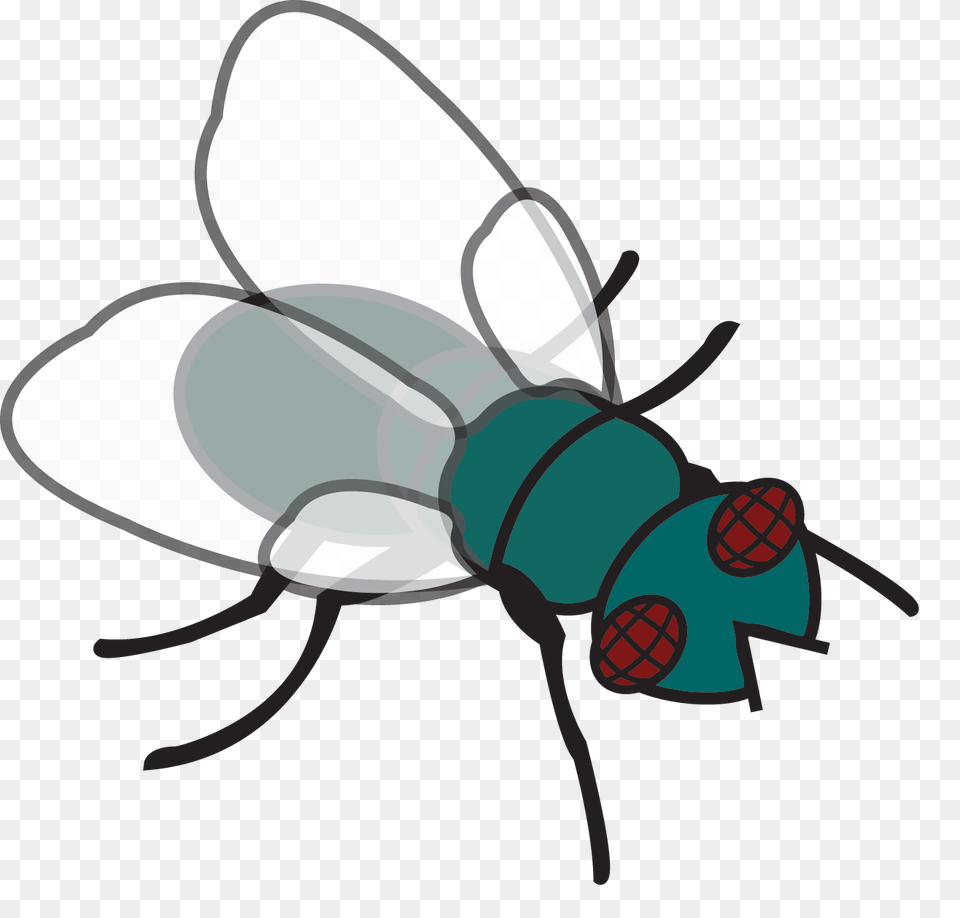 Fly Clip Art, Animal, Insect, Invertebrate, Ammunition Free Png Download