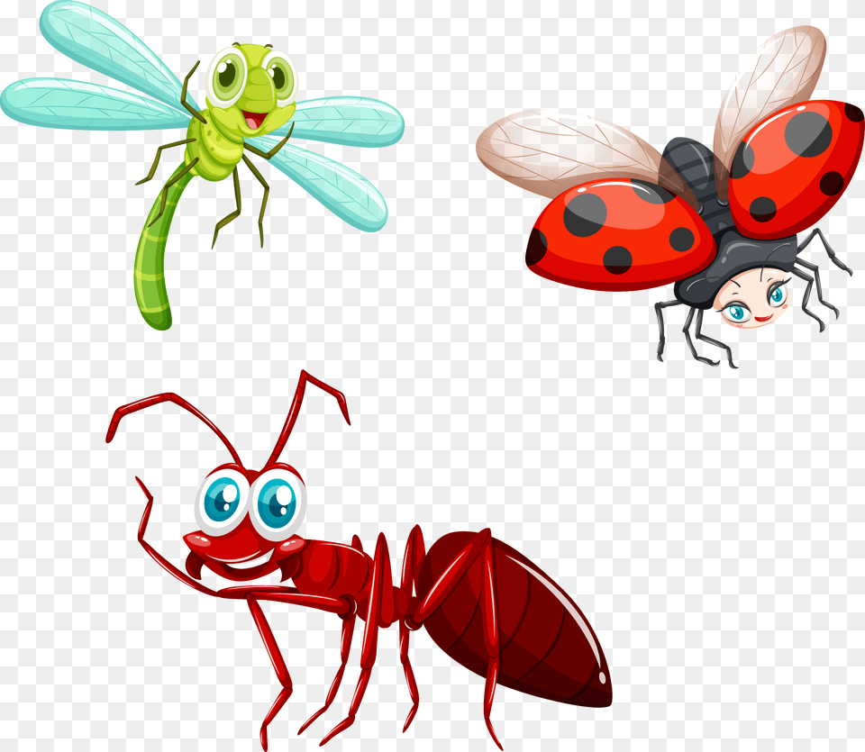 Fly Clip Art Black Ant Clip Art, Animal, Insect, Invertebrate Free Png Download