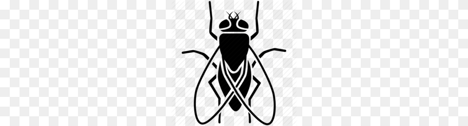 Fly Clipart, Animal, Bee, Insect, Invertebrate Free Png Download