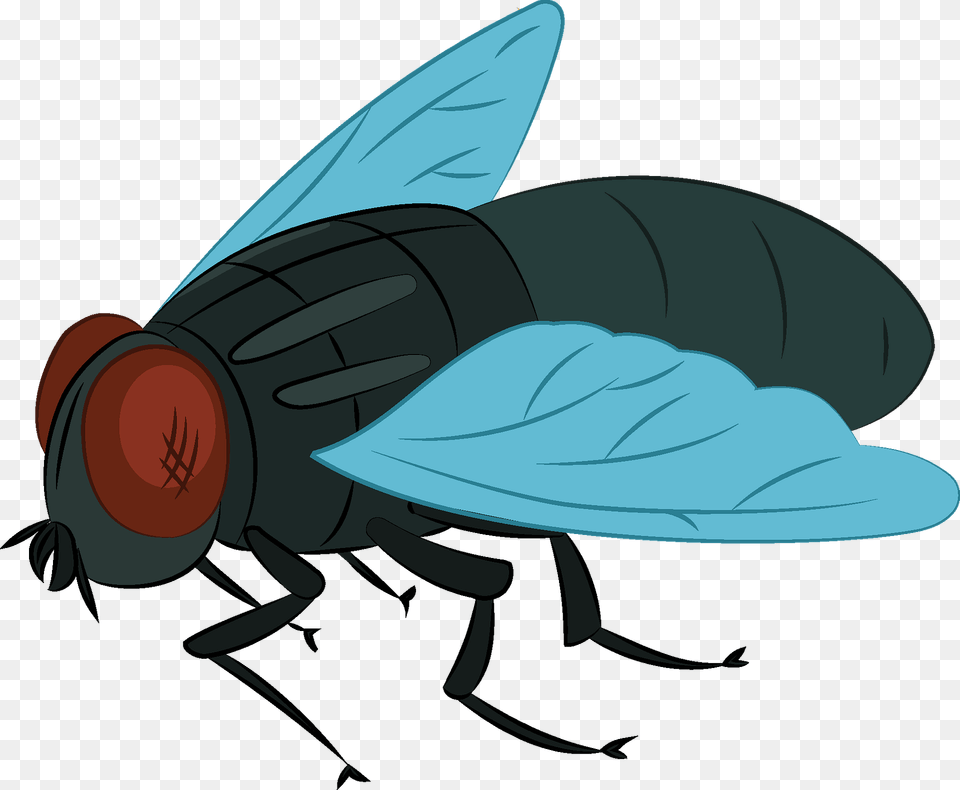 Fly Clipart, Animal, Insect, Invertebrate, Fish Free Transparent Png