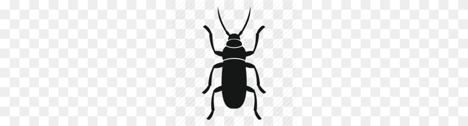Fly Clipart, Person, Animal Png