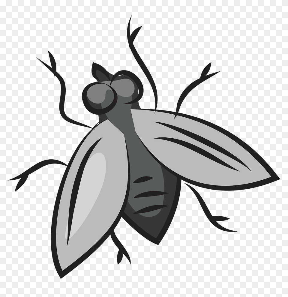 Fly Clipart, Animal, Bee, Insect, Invertebrate Png Image