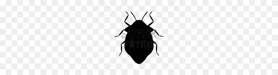 Fly Clipart Png Image