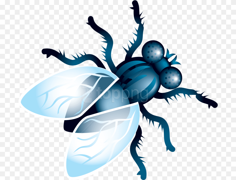 Fly Clipart, Animal, Bee, Insect, Invertebrate Png Image