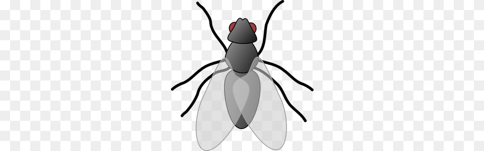 Fly Clipart Comic, Animal, Insect, Invertebrate Free Png Download