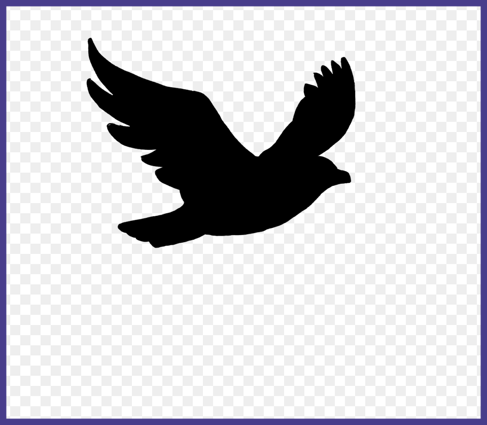 Fly Clipart Flying Fly Flying Robin Bird Silhouette, Animal, Blackbird Free Transparent Png