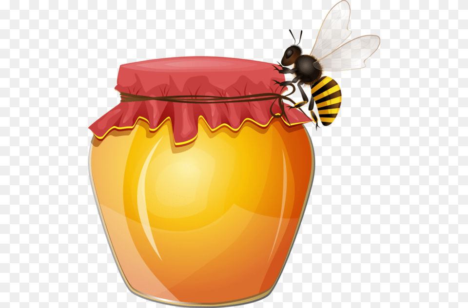 Fly Clipart Food Clipart, Animal, Bee, Insect, Invertebrate Png Image