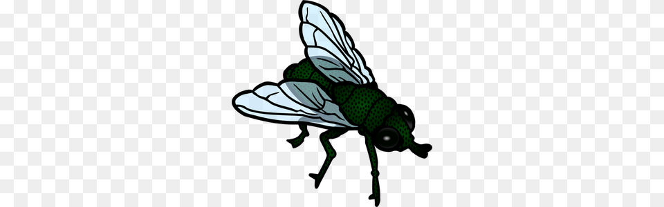 Fly Clipart Image, Animal, Insect, Invertebrate, Baby Free Png Download