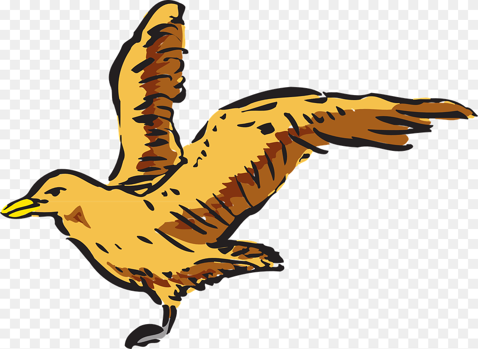 Fly Clipart Suggestions For Fly Clipart Fly Clipart, Animal, Seagull, Waterfowl, Bird Free Png Download