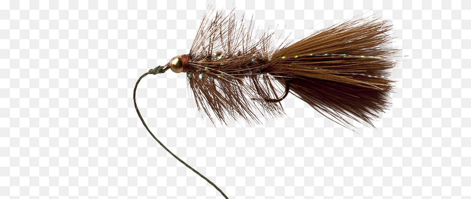 Fly Fishing Flies, Animal, Bird Png Image