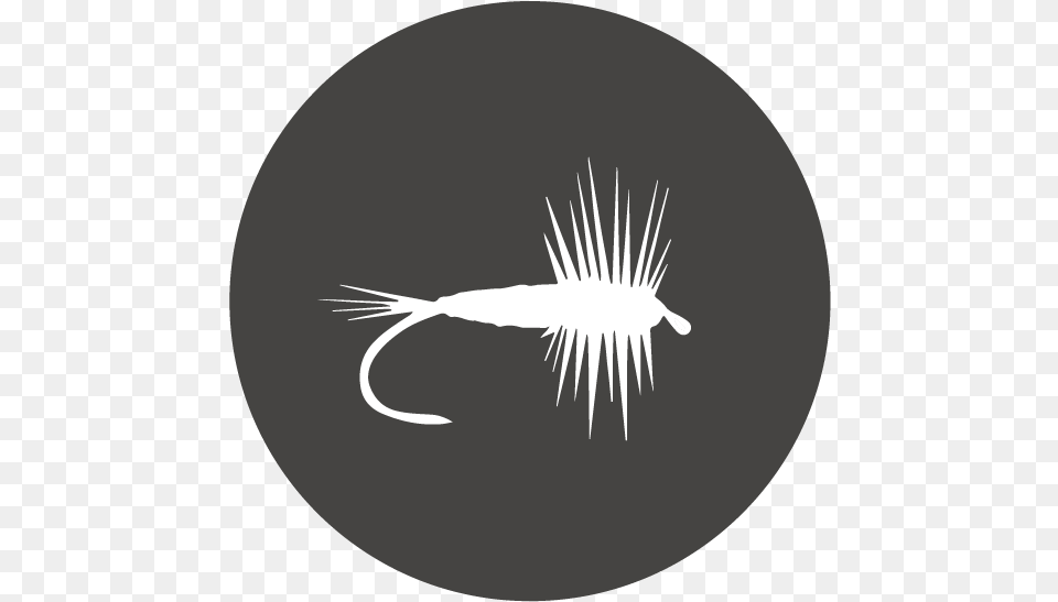 Fly Fishing Shrimp, Electronics, Hardware, Stencil Free Png