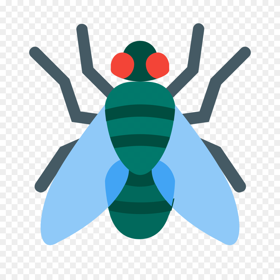 Fly Icon, Animal, Insect, Invertebrate, Cross Png