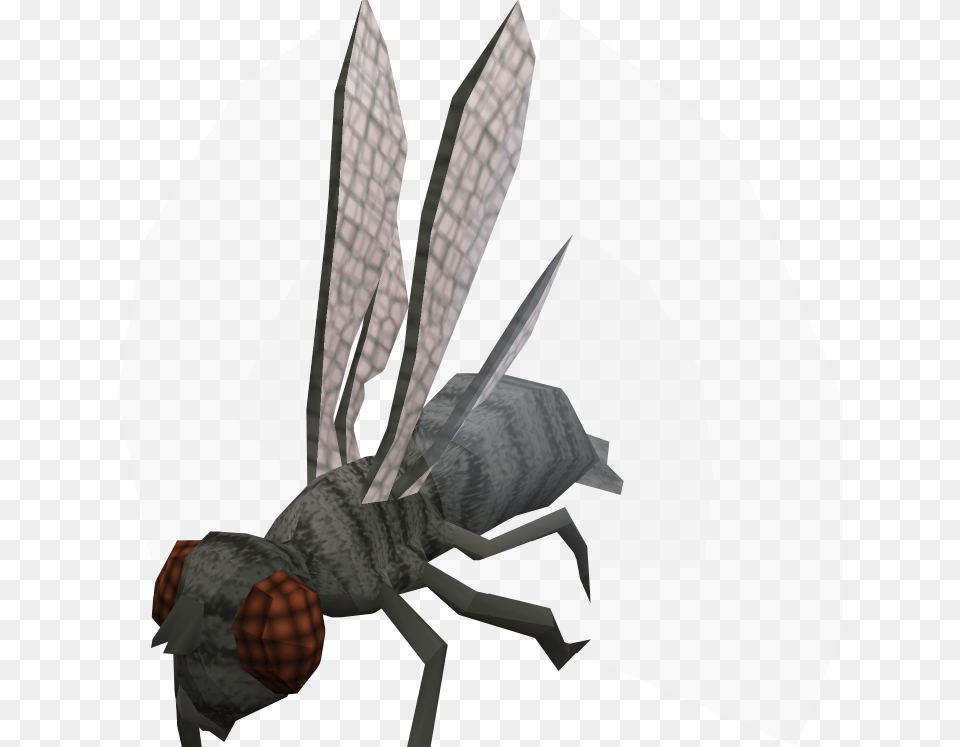 Fly Image Graphic Black And White Demonic Giant Flies Pathfinder, Invertebrate, Animal, Bee, Wasp Png