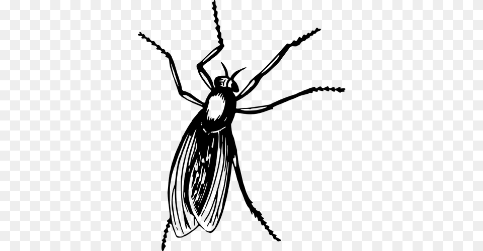 Fly In Black Color, Gray Free Png