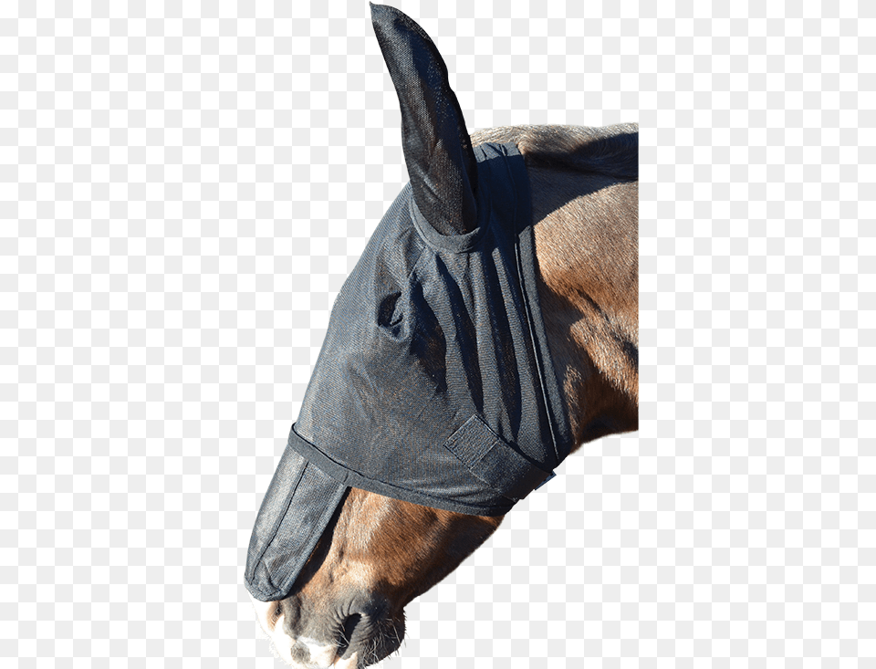 Fly Mask, Adult, Male, Man, Person Free Png Download