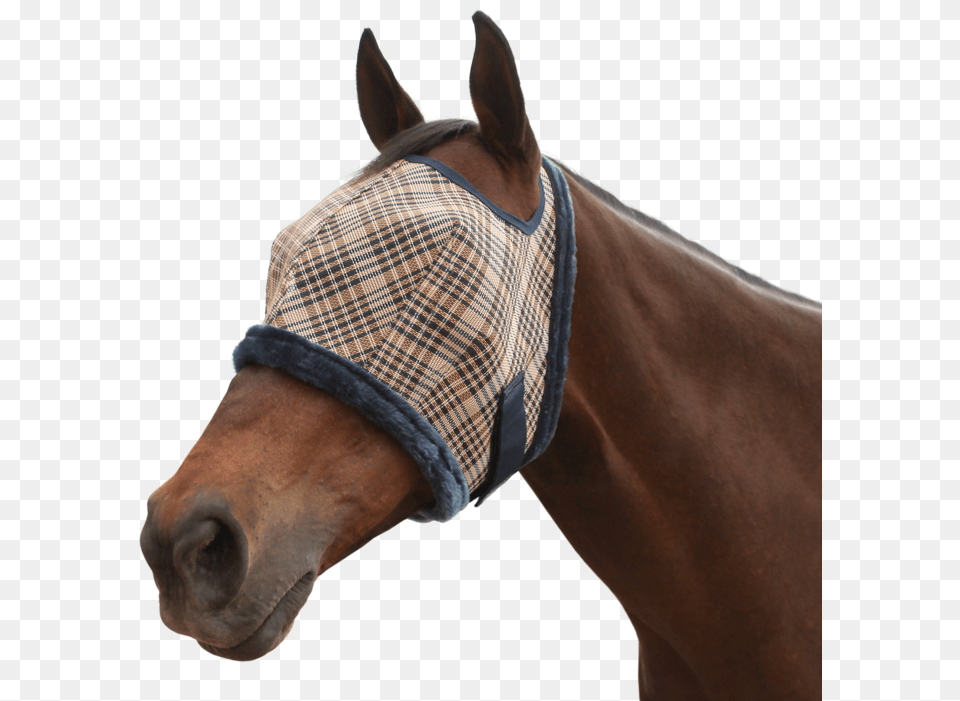 Fly Mask With Plush Fleece Kensington Fly Mask Wfleece Lavender Mint Lg, Halter, Animal, Horse, Mammal Png Image