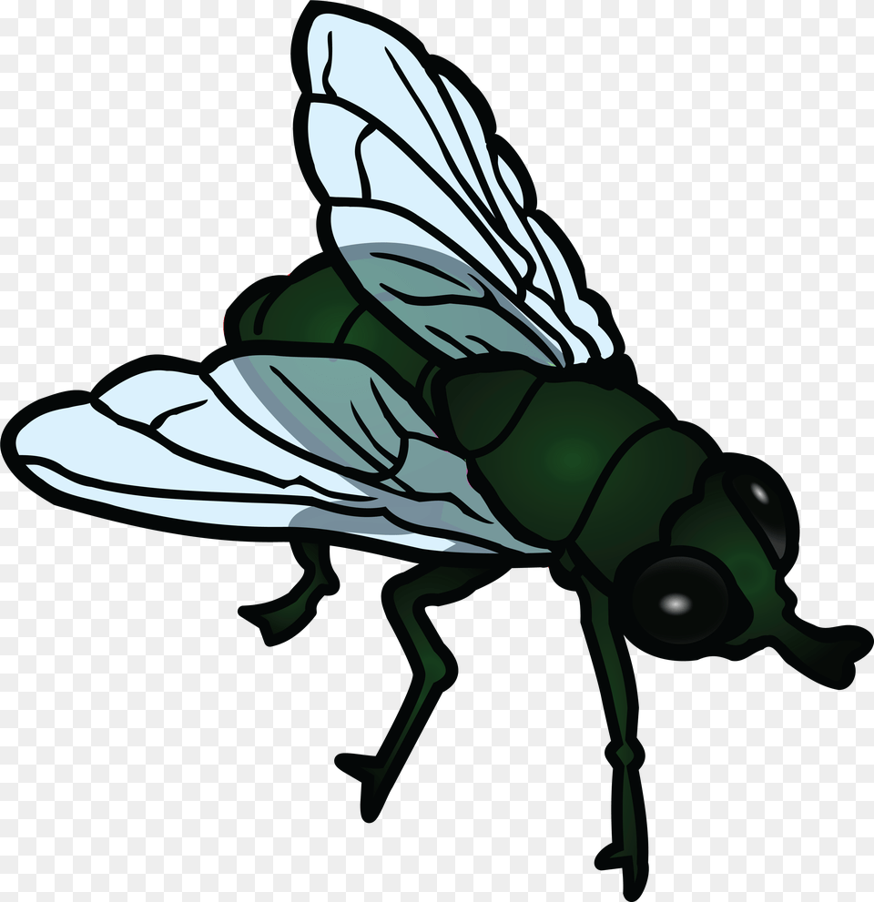 Fly Photos Fly Clipart Black And White, Animal, Insect, Invertebrate, Person Free Png