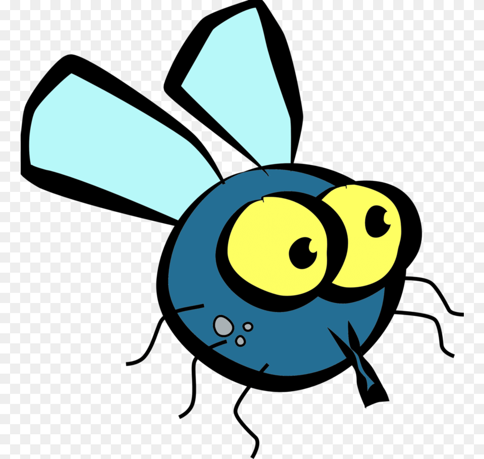 Fly Picture Fly Clipart, Animal, Bee, Insect, Invertebrate Free Png