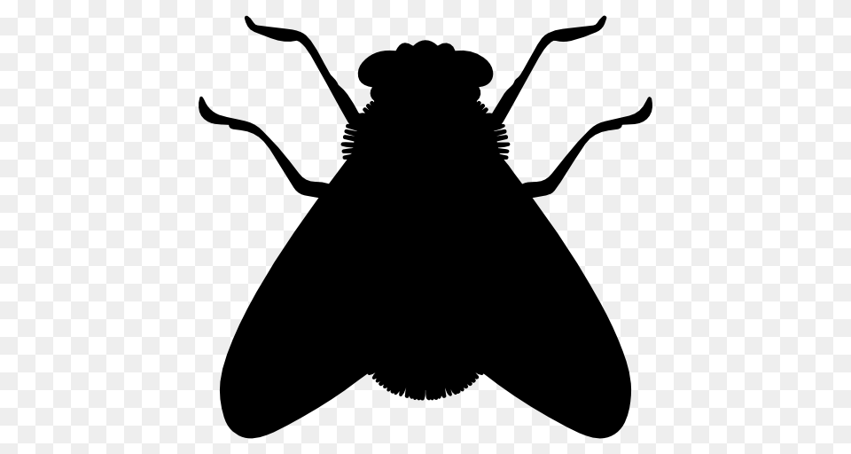 Fly Shape, Silhouette, Animal, Insect, Invertebrate Free Transparent Png