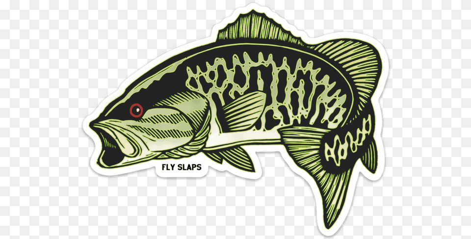 Fly Slaps Wandering Blue Lines Smallmouth Bass Sticker Smallmouth Bass Sticker, Animal, Sea Life, Fish, Cod Png Image