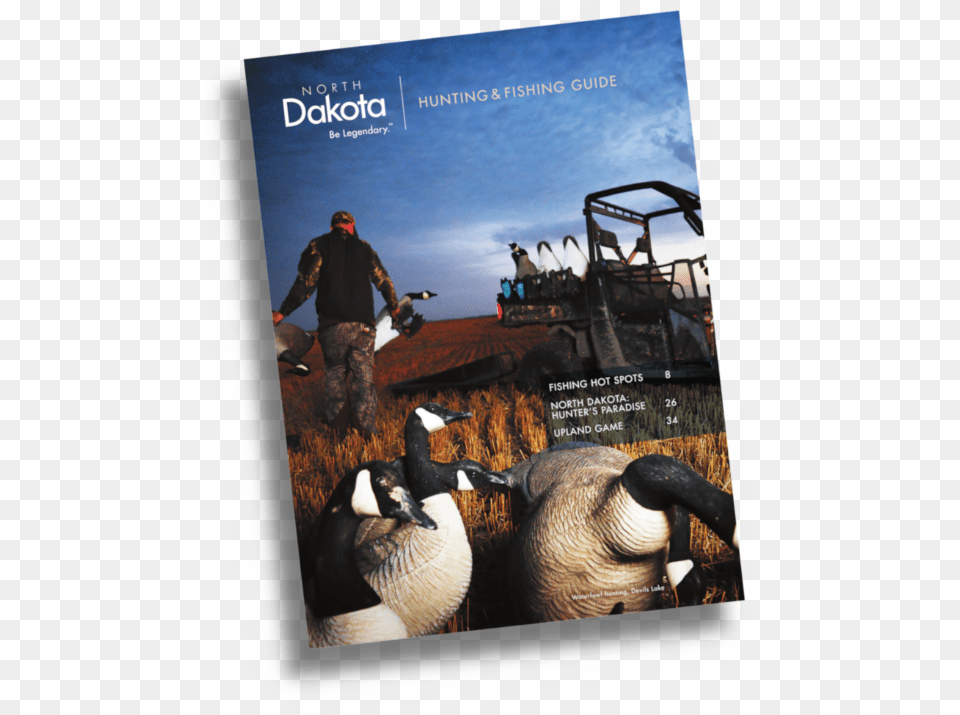 Flyer, Waterfowl, Animal, Bird, Goose Png Image