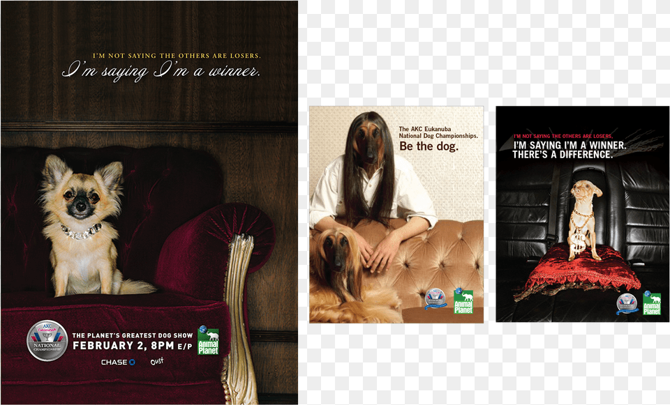 Flyer, Furniture, Couch, Person, Adult Free Png