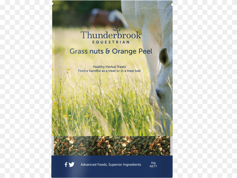 Flyer, Grazing, Countryside, Outdoors, Field Png Image