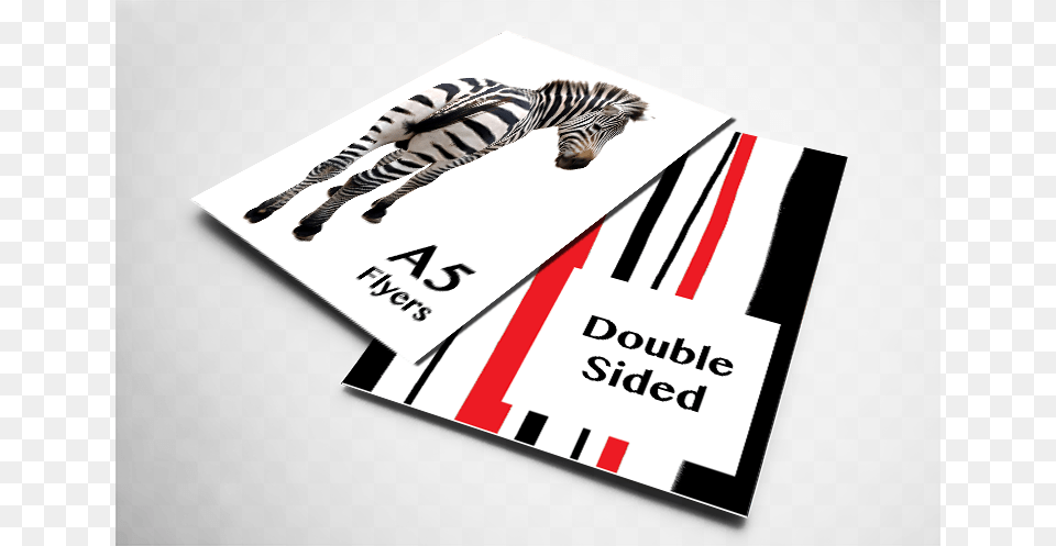 Flyers A5 Double Sided Flyers, Advertisement, Animal, Mammal, Poster Png Image