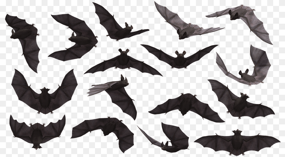 Flying Bat Svg, Animal, Mammal, Wildlife Free Png